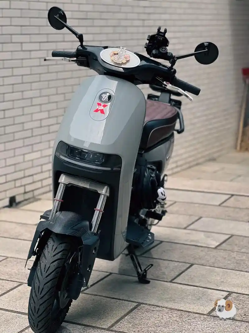 九号电动 #九号c90  - 抖音