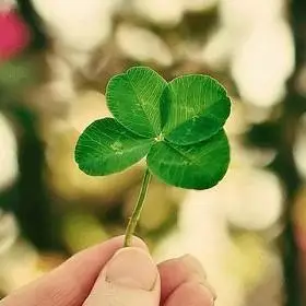 让你好运爆满的幸运草头像lucky-可爱点