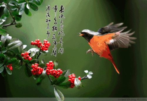 640_441gif 动态图 动图