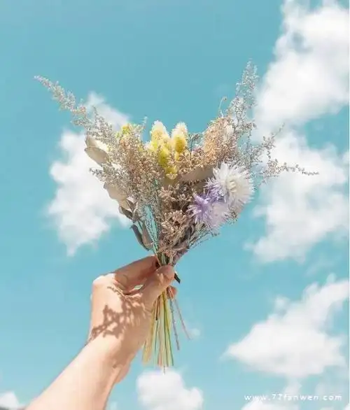 2021最新意境唯美的图文说说_暖心社范文网 - 职场工作,日常生活qq