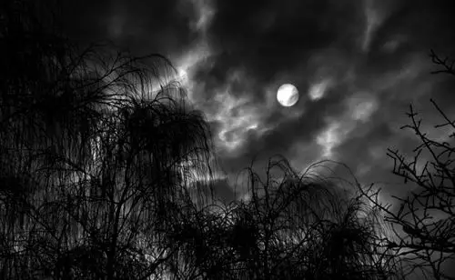 车千秋联袂令狐茂汉武帝悲吟思子赋下