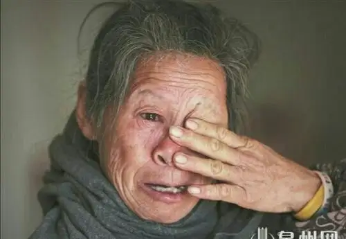 母亲哭了(散文诗)