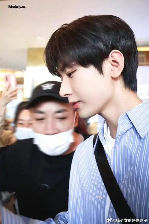 王俊凯|路透|赵今麦_新浪新闻