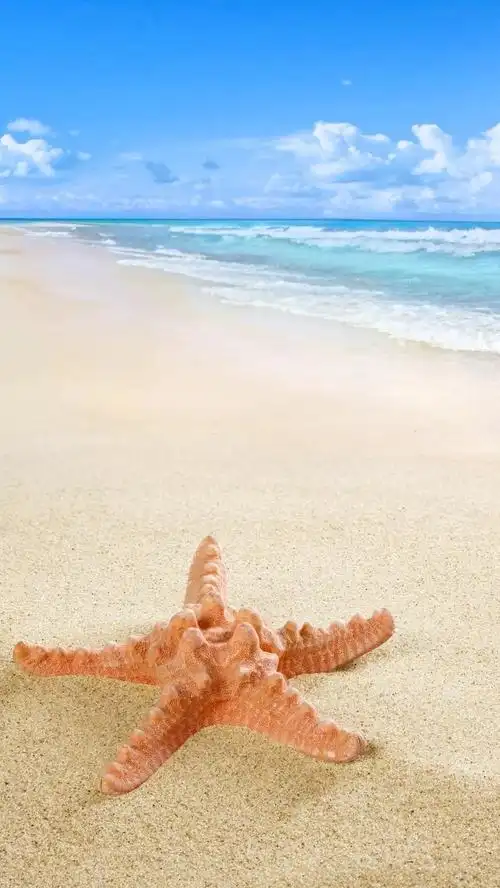 清凉蓝色海边摄影h5背景免抠素材免费下载_觅元素51yuansu.com