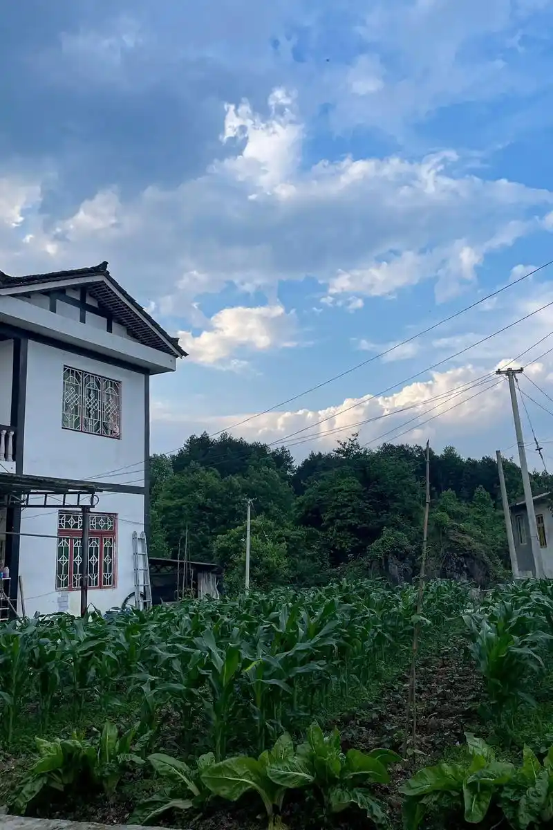 平凡无奇的乡村里 藏着最惬意的生活.#农村生活 #随手拍 - 抖音