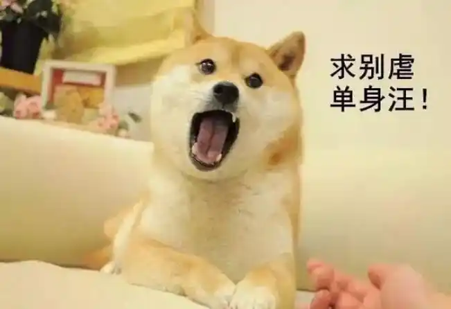 2亿单身狗10万程序员七夕国家包分配对象么