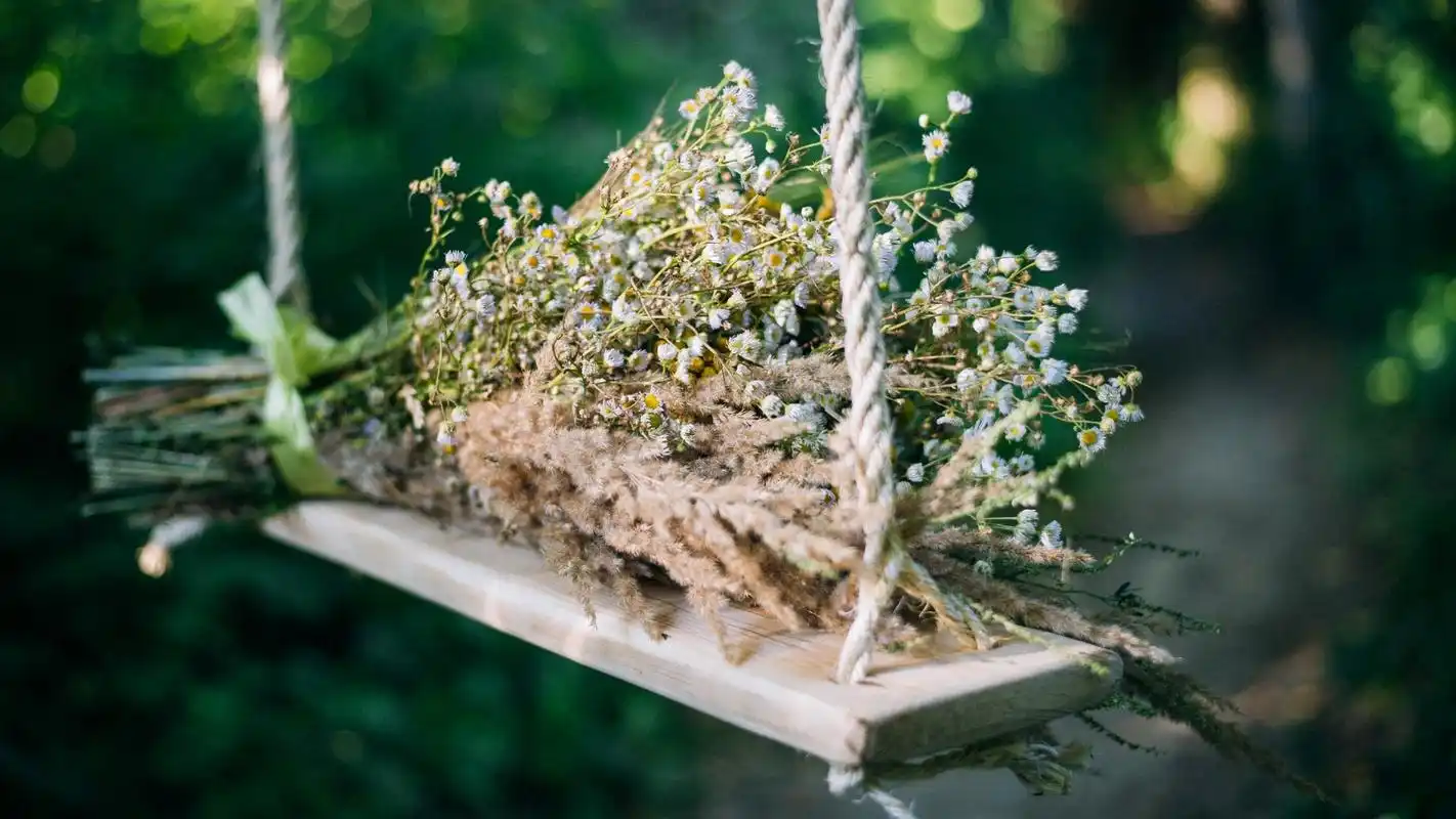 唯美花卉摄影高清宽屏桌面壁纸