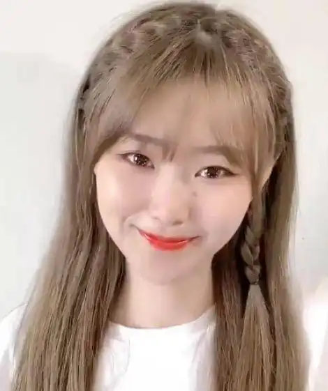 "亲爱的热爱的"佟年编发,减龄又少女,手残党快试试吧!_短发