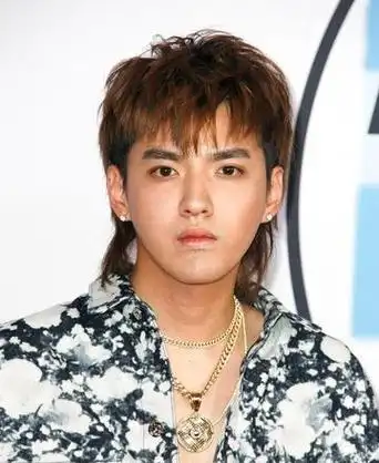 网易首页>网易号>正文申请入驻>吴亦凡作为韩国出道的加拿大籍华裔