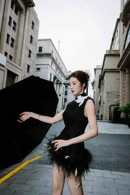 万鹏清冷黑天鹅