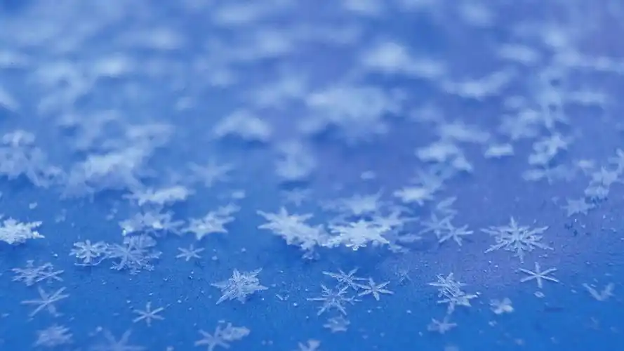 淡蓝色唯美雪花高清桌面壁纸