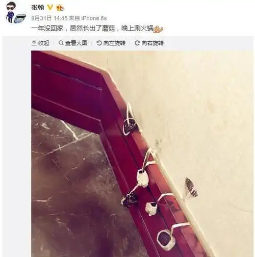 张翰晒出自己的豪宅,房子一年也住不到一次,放着豪宅在家积灰尘