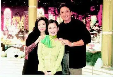 鲁豫画家 秦汉个人资料