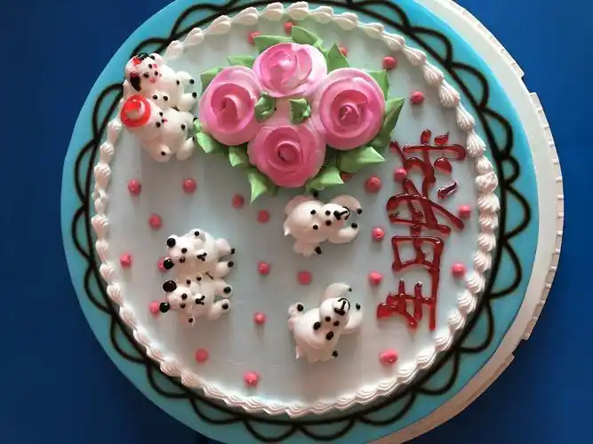 倪溪鑫宝贝生日快乐!学习进步!茁壮成长!