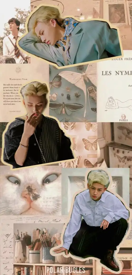 王琳凯/小鬼拼贴壁纸