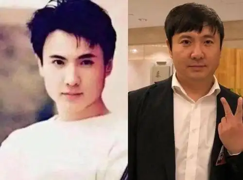 看完以上这些男明星们年轻时,与现在的对比照片,大家有着什么样的想法