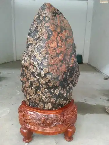 世界珍稀品种牡丹石洛阳独有(组图) - 华夏奇石网 - 洛阳市赏石协会