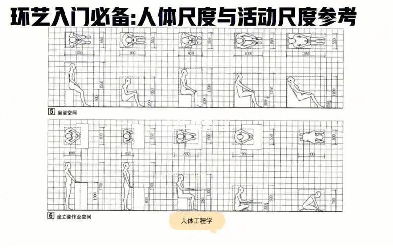 环艺入门必备人体尺度与活动尺寸参考