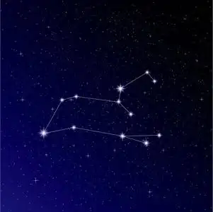 狮子特技深蓝色背景下夜空中的狮子星座照片