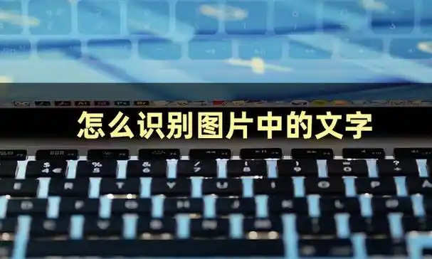 下面教你识别文字怎么操作