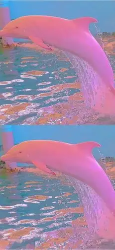 抖音精选壁纸丨全面屏壁纸_手机搜狐网