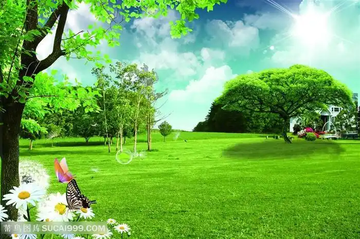 唯美草地大树风景画韩式自然背景