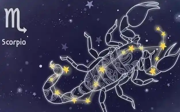 星座吐槽大会之天蝎座|无语|四大星座_网易订阅