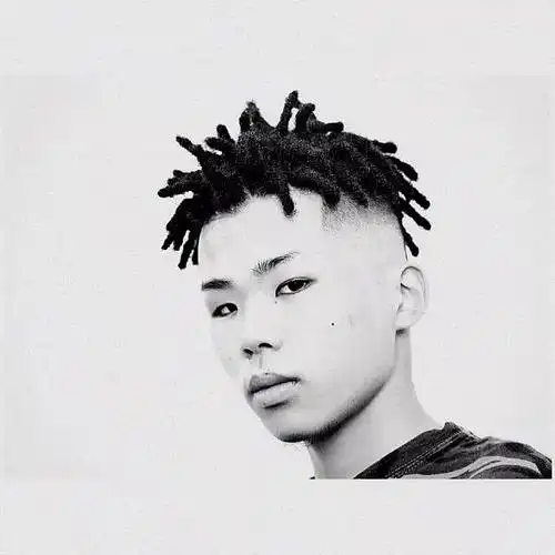 盆栽脏辫【男生短款】