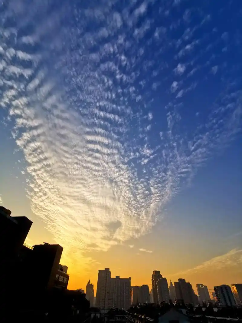 今日,傍晚的云彩.