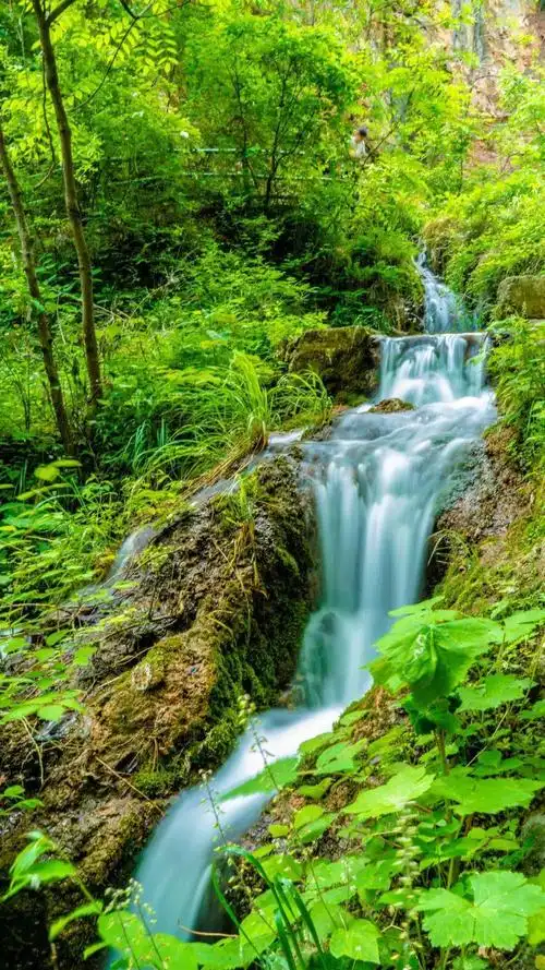 瀑水流过高耸的水洞,进入竹林洛阳栾川王府竹海森林覆盖率高达95%