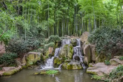 宁静的竹林中,小溪淙淙流过,遇到高低落差大的地方就形成小瀑布,哗哗