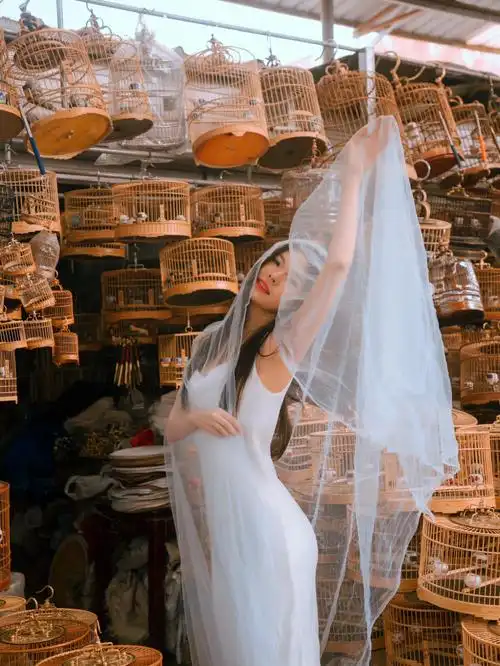 天空留不住的笼子关不住的自由的鸟