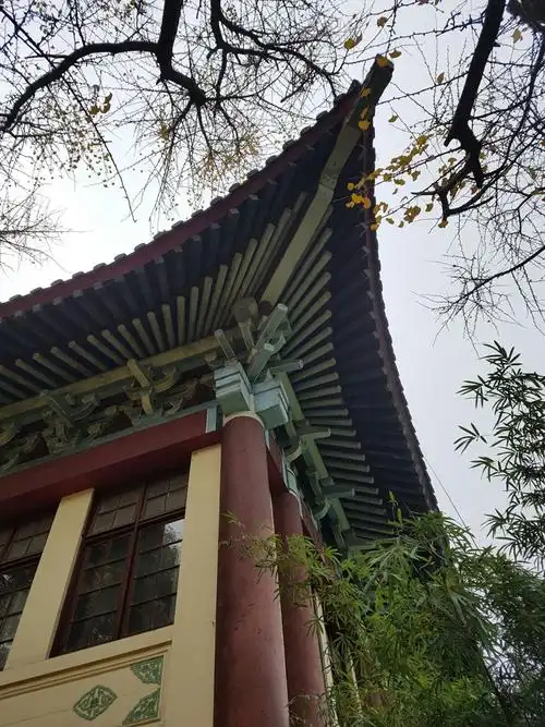 百年老店《南京师范大学随园校区》