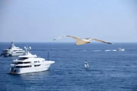 海鸥和捕鱼的船海鸥在船和海蔚蓝的天空照片