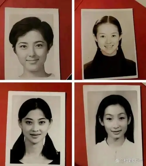 曾黎演技好颜值高为什么没有演过什么大热剧的女一号