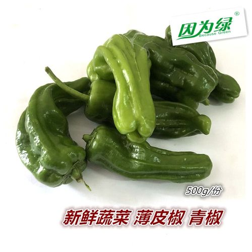新鲜绿色蔬菜 青椒 农家自种 青辣椒 薄皮椒
