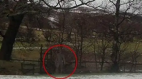 英国男子拍到鬼魂 专家证实照片未经电脑处理