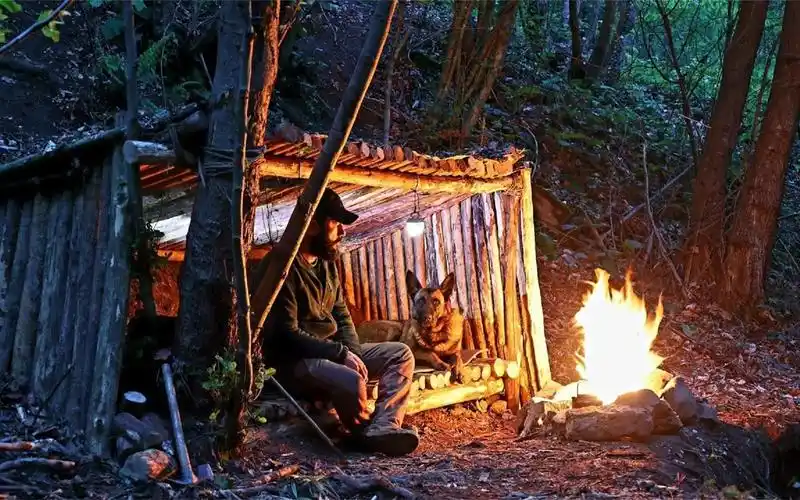 一人一狗野外生存,建造避难所,生火取暖,在原始森林里过夜!