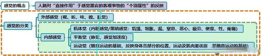 教师编心理学思维导图——心理学"感觉"的概念及分类