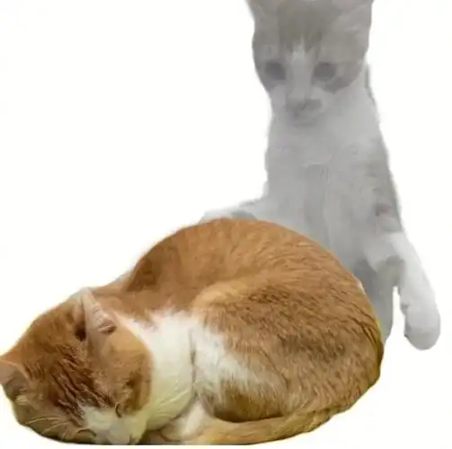 灵魂出窍表情包