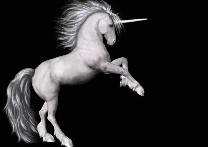 抬腿的独角兽图片