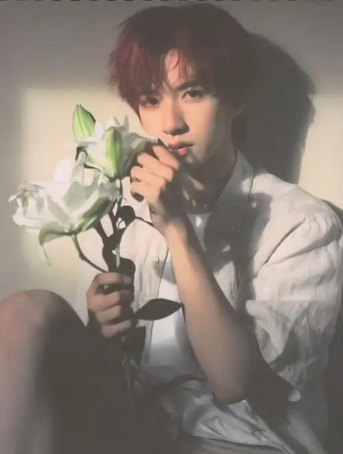 和贺峻霖一起拥抱春天##凝聚v力量