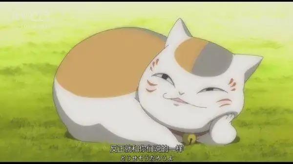 [自截]会唱歌的斑大人每个动作每个表情都萌化我的心-动漫图片-q友