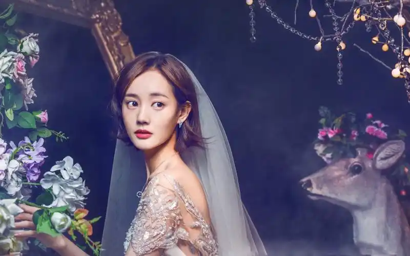 李一桐婚纱写真