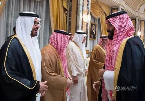 沙特王室成员向新王储宣誓效忠