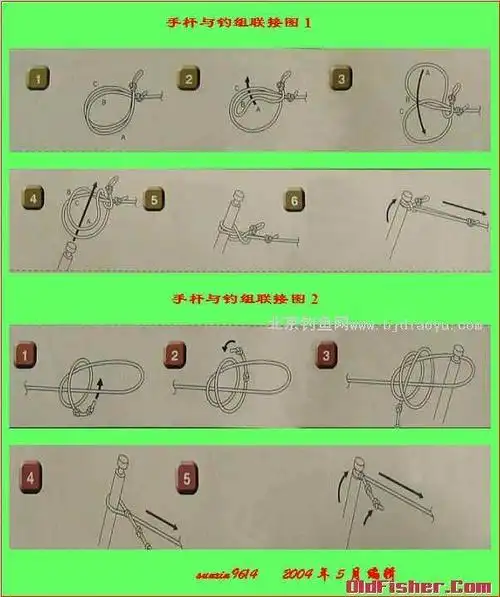 各种鱼线打结方法示意图