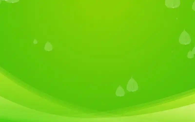 简约清新绿色素材图片电脑壁纸2下载_高清壁纸_壁纸下载_美桌网