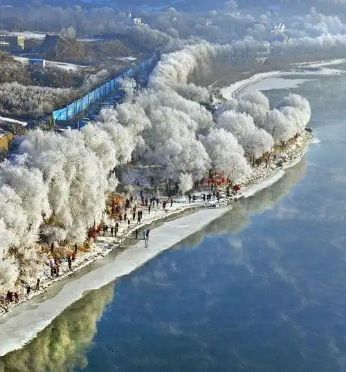 吉林市松花江上大雾弥漫现最美雾凇