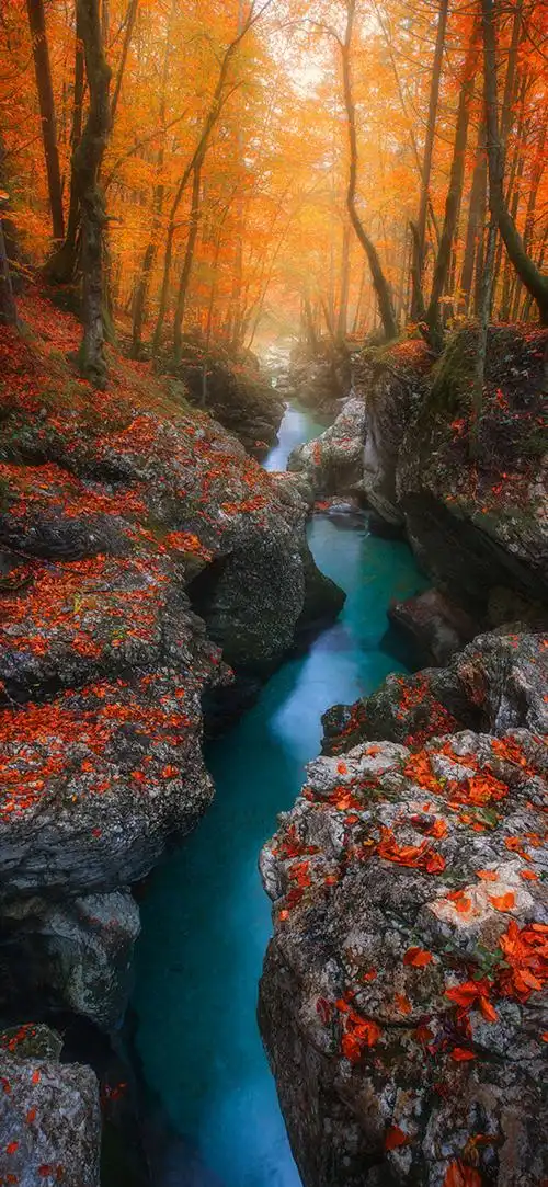 壁纸|高清手机壁纸