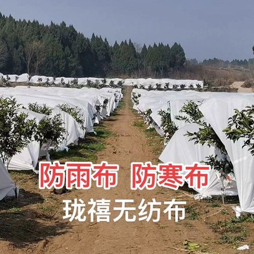 农用无纺布保温膜植物蔬菜果园果树防寒防冻防水透气新型材料